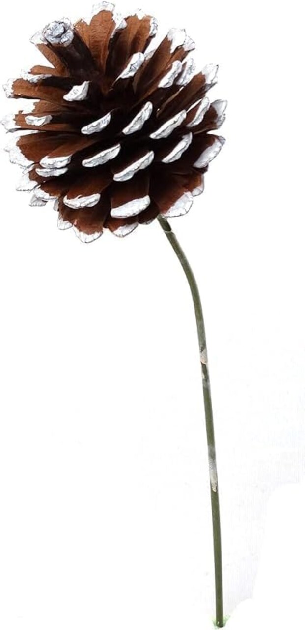 2PC 2.5" White-Tipped Pine Cone Pick Rustic Winter Accent for Wreaths, Crafts & Holiday Decor